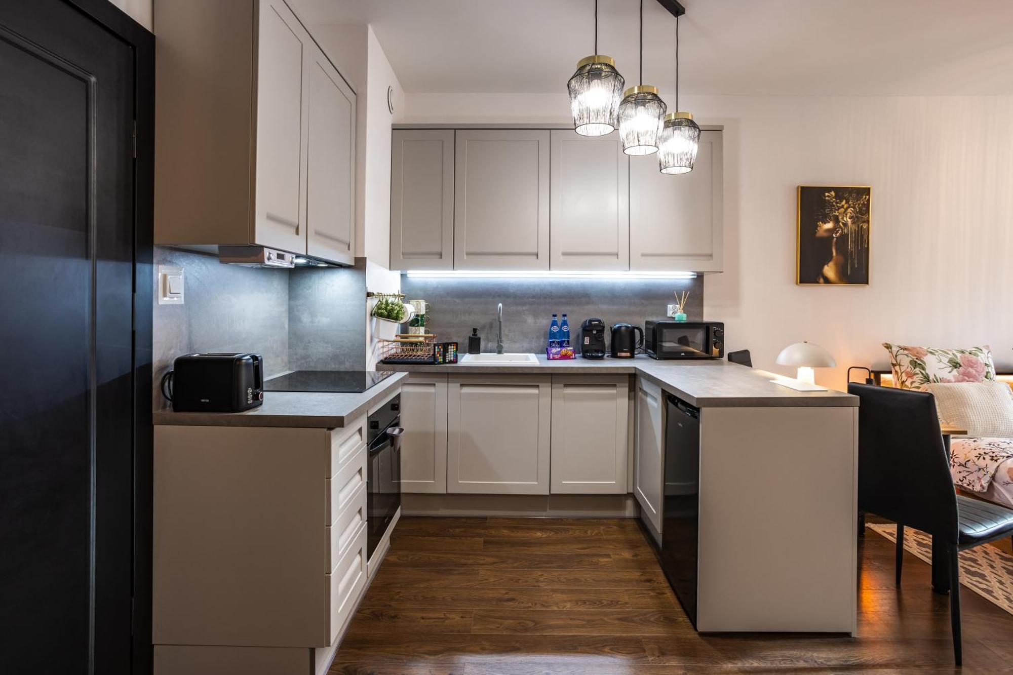 Stare Bulvar, Old Town, Snake Apartment Elblag